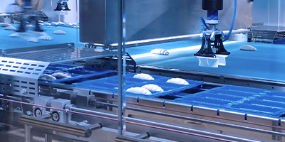 Potravinářský průmysl